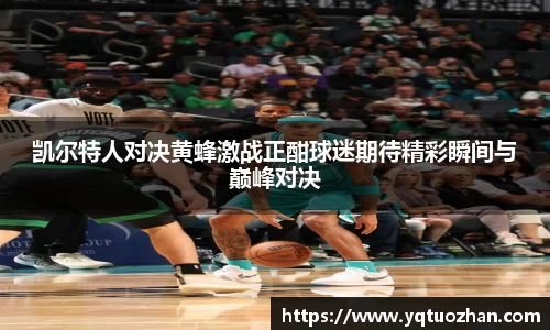 凯尔特人对决黄蜂激战正酣球迷期待精彩瞬间与巅峰对决